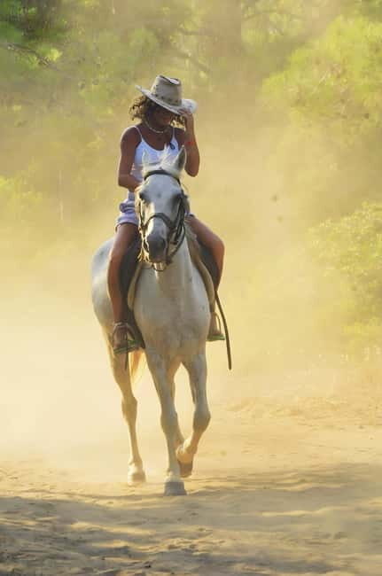 Manavgat Side: Horse Riding on the Beach and in the Forest - Value and Cost