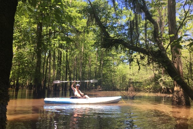 Manchac Swamp Kayak Small-Group Tour - Location and Directions