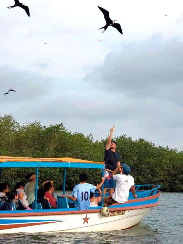 Mancora: Puerto Pizarro - Tour Mangrove Mysteries - An Overview of the Tour Experience
