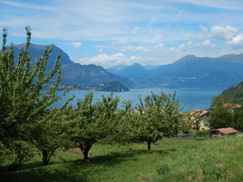 Mandello del Lario: Hike across hills and quaint hamlets - A Detailed Look at the Mandello del Lario Hike