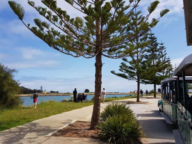 Mandurah: Big Toot 30 mins scenic tour - An Overview of the Big Toot Experience