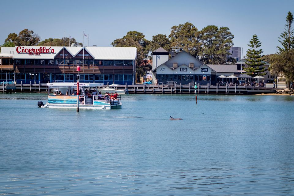 Mandurah: Sightseeing Dolphin Cruise With Tour Guide - Recap