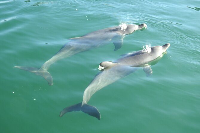 Mandurah Sunset Cruise - Frequently Asked Questions