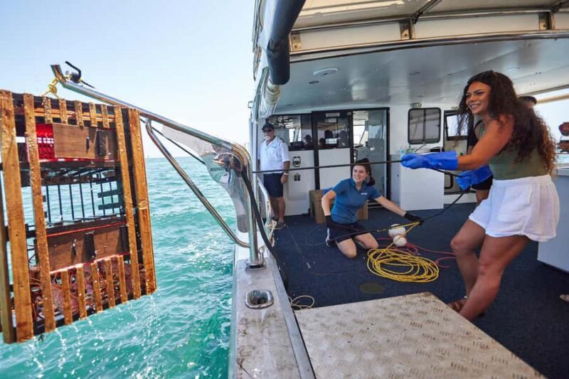 Mandurah: Wild Seafood Experience - What the Reviews Say