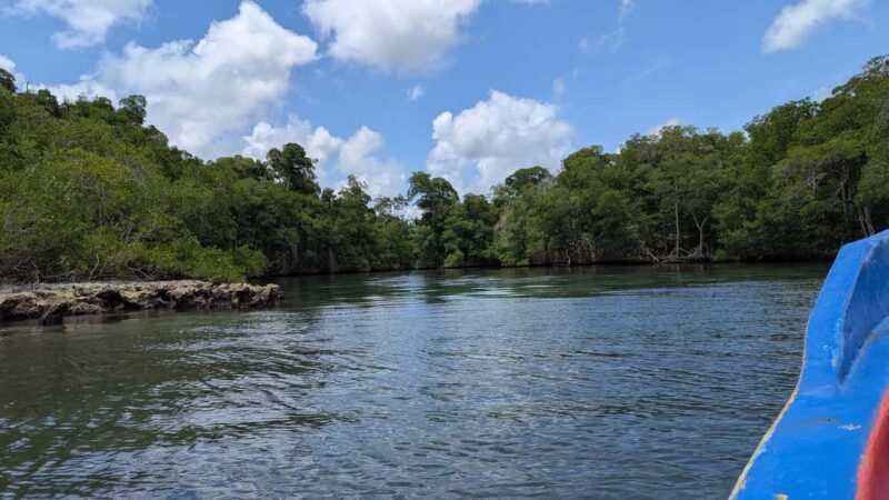 Mangove boat tour - Rio San Juan Guided 4-6 hour tour - Key Points