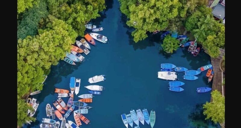 Mangove boat tour - Rio San Juan Guided 4-6 hour tour - A Closer Look at the Tour Experience