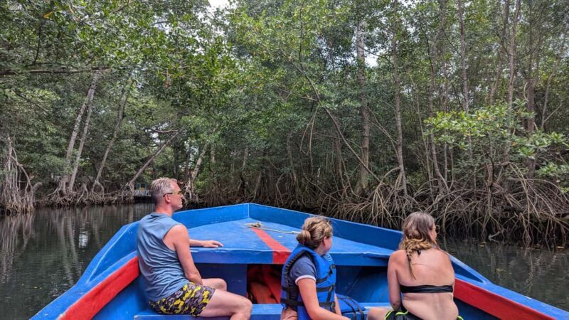 Mangove boat tour - Rio San Juan Guided 4-6 hour tour - Who Will Love This Tour?