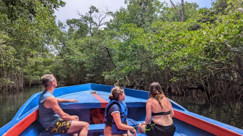 Mangove boat tour - Rio San Juan Guided 4-6 hour tour - The Sum Up: Is This Tour Worth It?