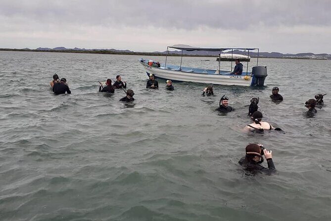 Mangrove Adventure with Snorkeling and Shellfish Tasting - FAQs