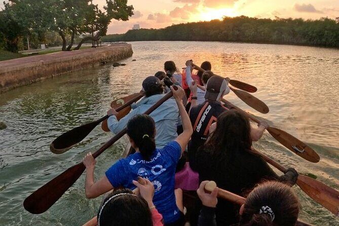 Mangrove Canoe Route at Sunset between Sacred Ecosystems - A Closer Look at the Mangrove Canoe Tour in Cancun