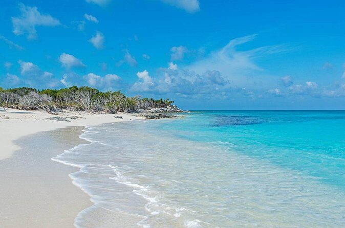 Mangrove Cay and Iguana Island Tours - FAQ