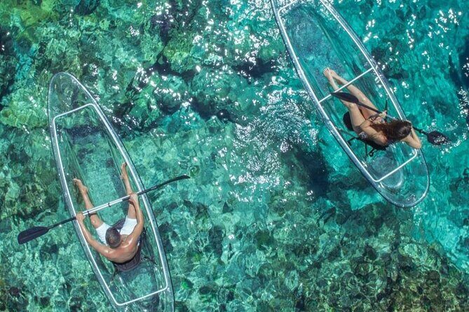 Mangrove Cay Tour - Key Points