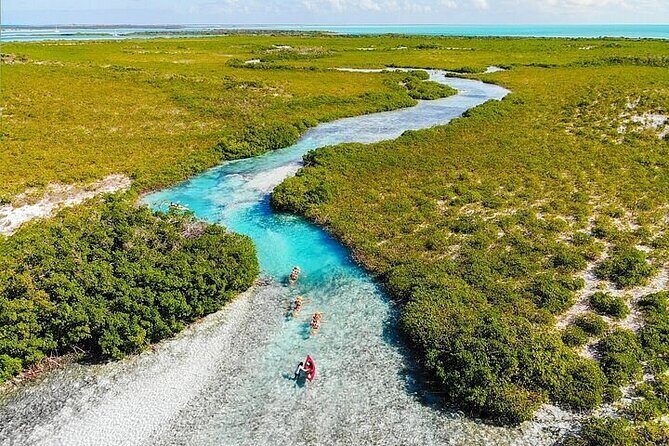 Mangrove Cay Tour - Who Should Consider This Tour?