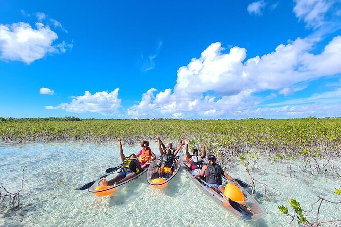 Mangrove Clear Kayak Tour - Analyzing the Value