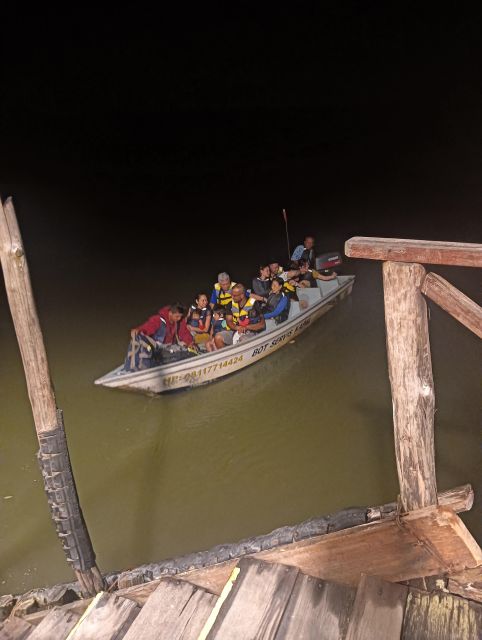 Mangrove discovery tour or fireflies tour - Value and Practical Considerations