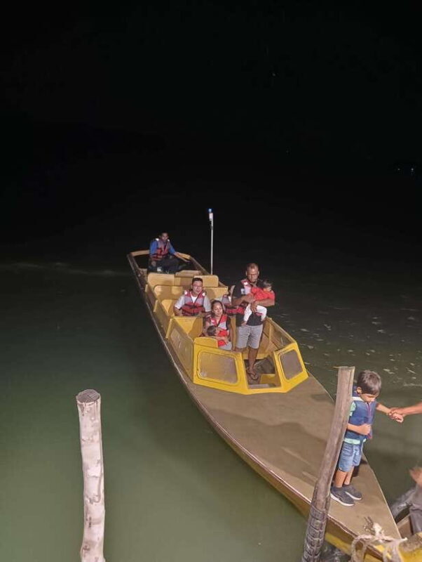 Mangrove discovery tour or fireflies tour - The Sum Up