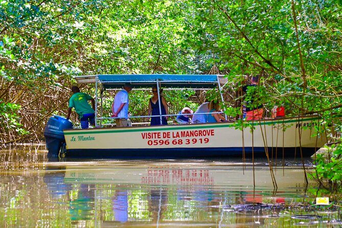 Mangrove Guided Tour - FAQ