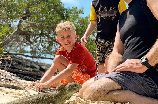 Mangrove & iguana Tour - Who Will Love This Tour?