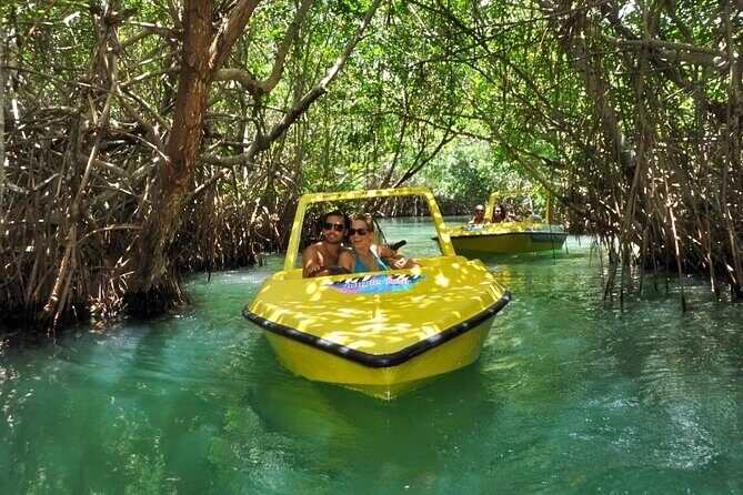 Mangrove Jungle Speedboat Experience - The Itinerary: What You Can Expect