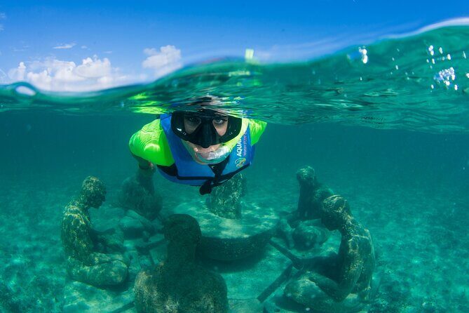 Mangrove Jungle Speedboat Experience - Highlighting the Experience’s Strengths