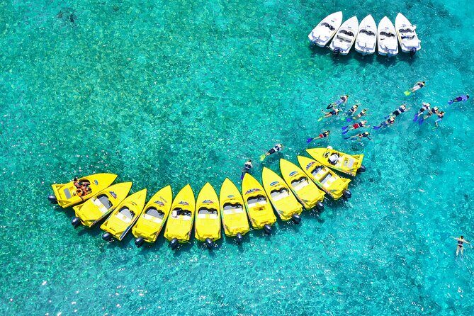 Mangrove Jungle Speedboat Experience - The Sum Up: Who Will Love This Tour?