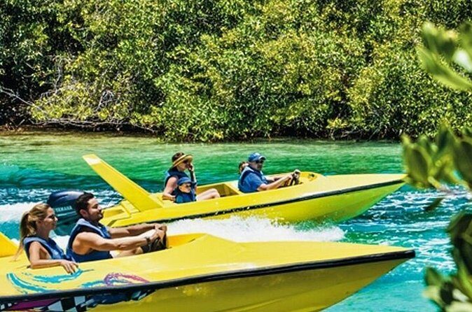 Mangrove Jungle Speedboat Experience - Final Thoughts: Who Is This Tour Perfect For?