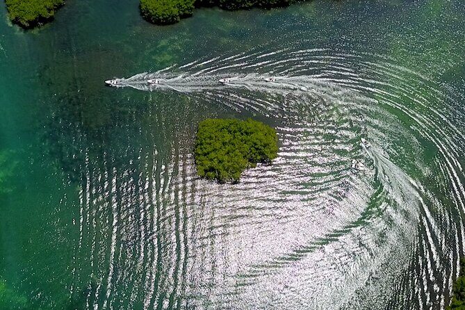 Mangrove Jungle Speedboat Tour in Nichupte Lagoon - Why This Tour Is a Great Choice