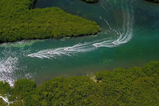 Mangrove Jungle Speedboat Tour in Nichupte Lagoon - Who Should Consider This Tour?