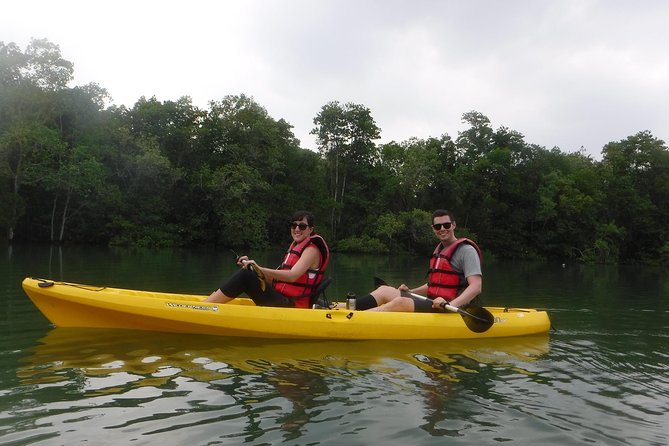 Mangrove Kayaking Adventure in Singapore - Exploring the Mangrove Forest