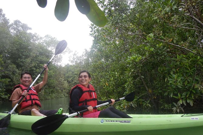 Mangrove Kayaking Adventure in Singapore - Group Size and COVID-19 Regulations