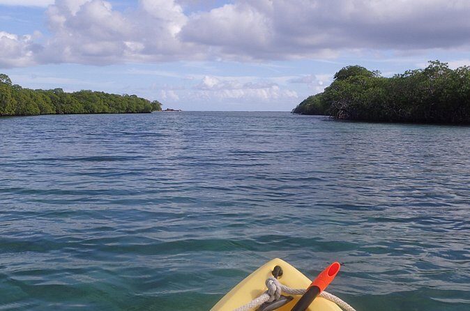 Mangrove Lagoon Kayak Rental in St Thomas - Practical Tips