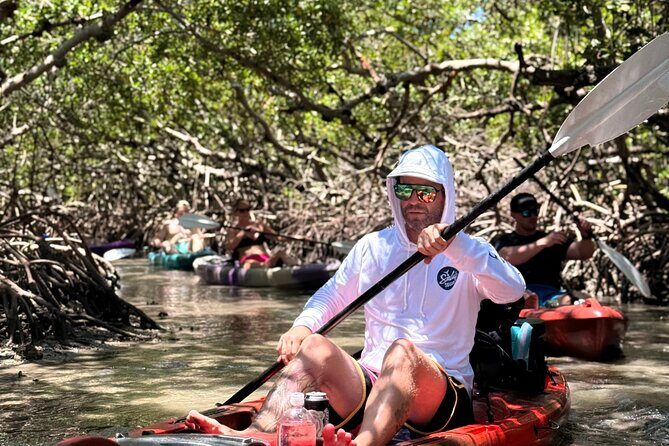 Mangrove Tunnel Kayak Tour To Shell Key - St. Pete, FL - A Close Look at the Tour: What to Expect