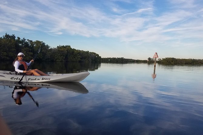 Mangrove Tunnel, Manatee and Dolphin Kayak Tour of Cocoa Beach - Additional Details
