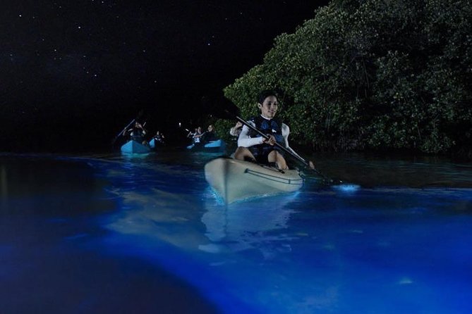Mangrove Tunnel, Manatee and Dolphin Kayak Tour of Cocoa Beach - Frequently Asked Questions