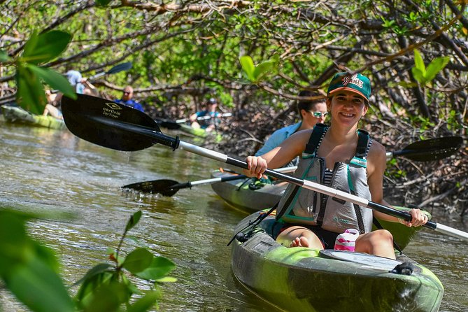Mangrove Tunnels & Mudflats Kayak Tour - Local Biologist Guides - Tour Itinerary