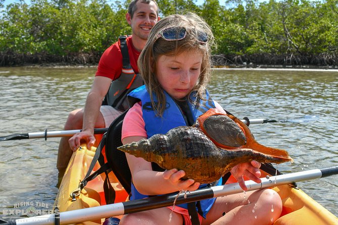 Mangrove Tunnels & Mudflats Kayak Tour - Local Biologist Guides - Wildlife Spotting Opportunities
