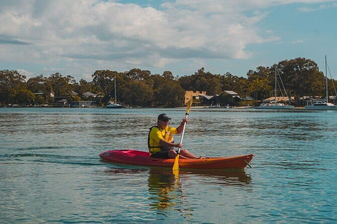 Mangroves and Mansions Guided Kayak Tour on the Noosa River - Final Thoughts: Who Should Book This Tour?