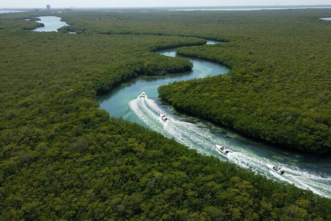 Mangroves and Punta Nizuc Snorkel Adventure by Speedboat - What Travelers Say  