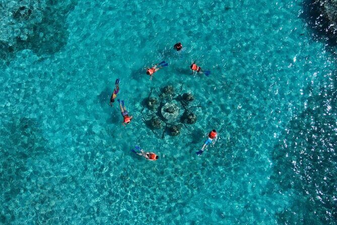 Mangroves and Punta Nizuc Snorkel Adventure by Speedboat - Frequently Asked Questions  