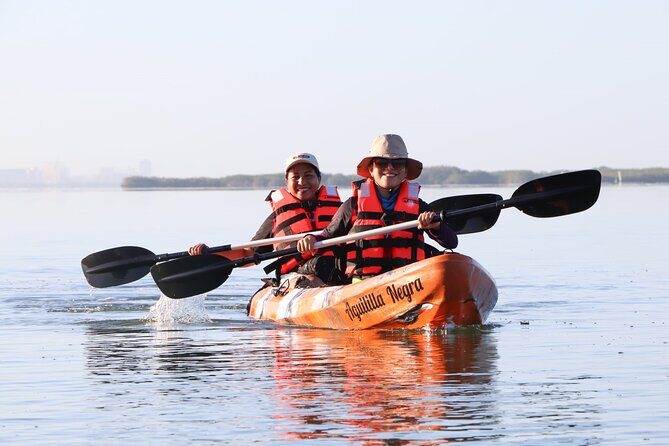 Mangroves Kayaking Tour from Cancun - The Detailed Experience: What to Expect