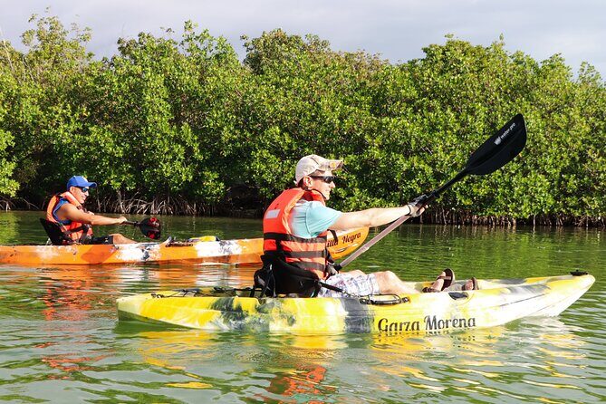 Mangroves Kayaking Tour from Cancun - FAQ