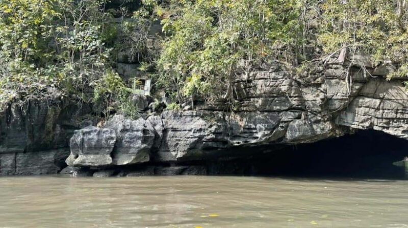 Mangrovetour Sharing Package - Lunch include in Langkawi - In-Depth Look at the Tour Experience