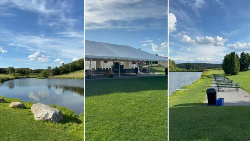 Manhattan: Millbrook Vineyards & Winery Private Tour - Key Points