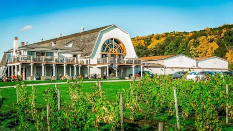 Manhattan: Millbrook Vineyards & Winery Private Tour - Analyzing the Value