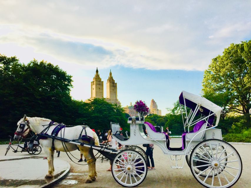 Manhattan: VIP Private Horse Carriage Ride in Central Park - Flexible Cancellation Policy