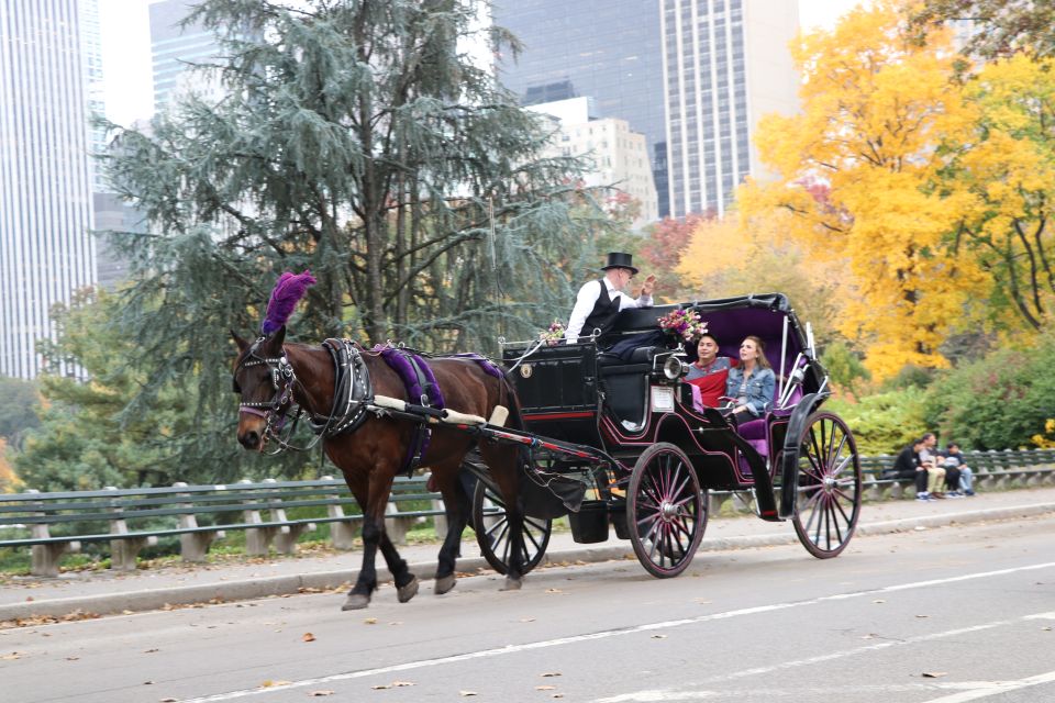 Manhattan: VIP Private Horse Carriage Ride in Central Park - Easy Booking Process