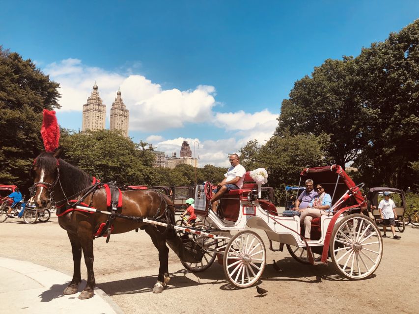 Manhattan: VIP Private Horse Carriage Ride in Central Park - Convenient Logistics Details