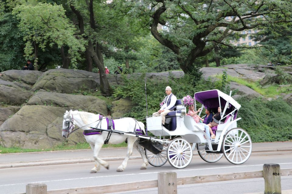 Manhattan: VIP Private Horse Carriage Ride in Central Park - Frequently Asked Questions