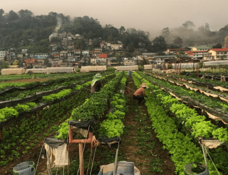 Manila: 3-Day Sagada, Baguio, & Banaue Rice Terraces Tour - FAQ