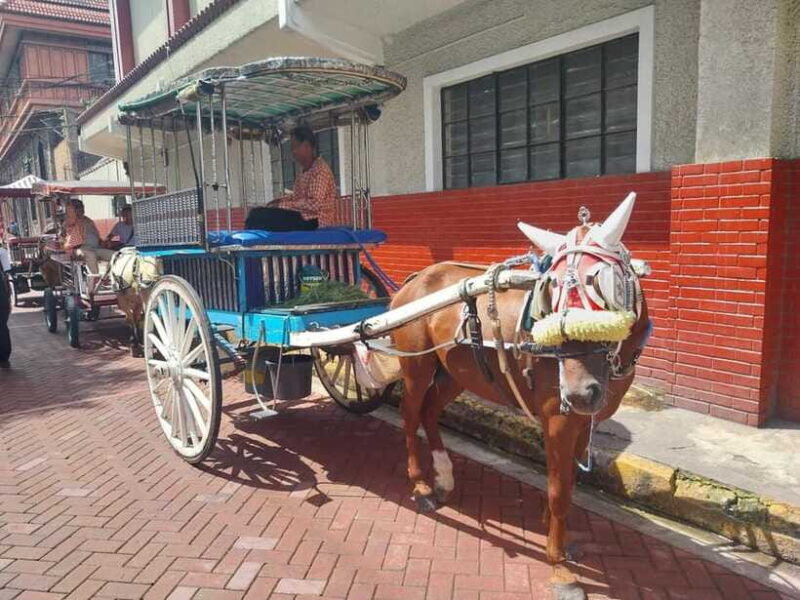 Manila: Intramuros and Chinatown Food Tour with Food Samples - FAQ